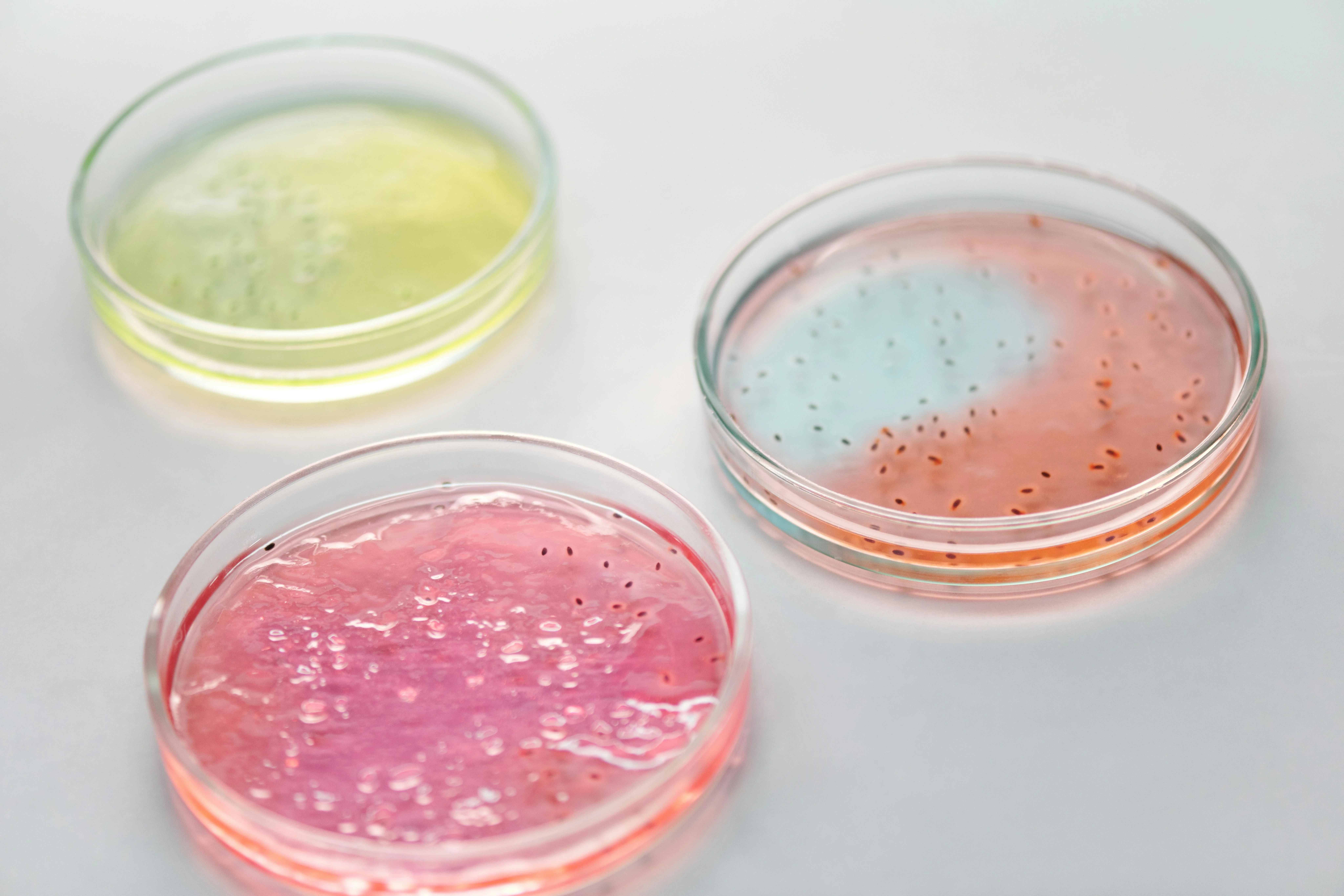 Microbiología